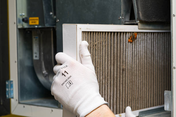 Best Affordable Air Duct Cleaning  in Zion, IL